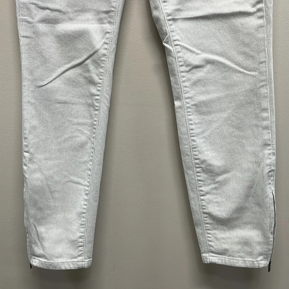Ann Taylor Loft Modern Skinny Ankle Striped Ankle Zip 27/4 - Picture 3 of 16